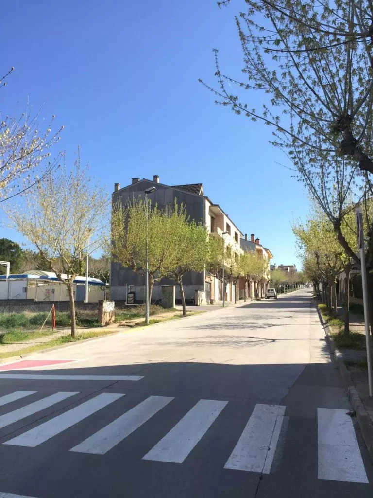 Solsona plantejarà contribucions per actuar al carrer Pere Màrtir