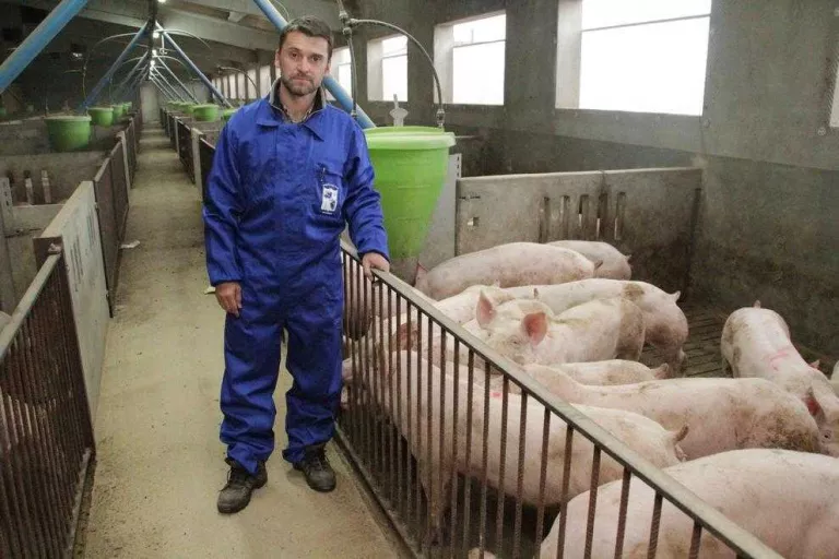 Naix Lo Pernil de Ponent a Balaguer