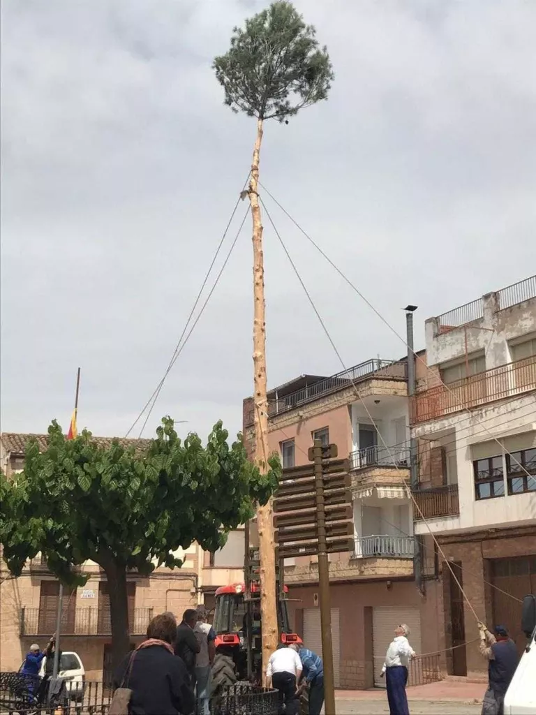 Bovera recupera la Plantada de Maig després de 30 anys en l'oblit