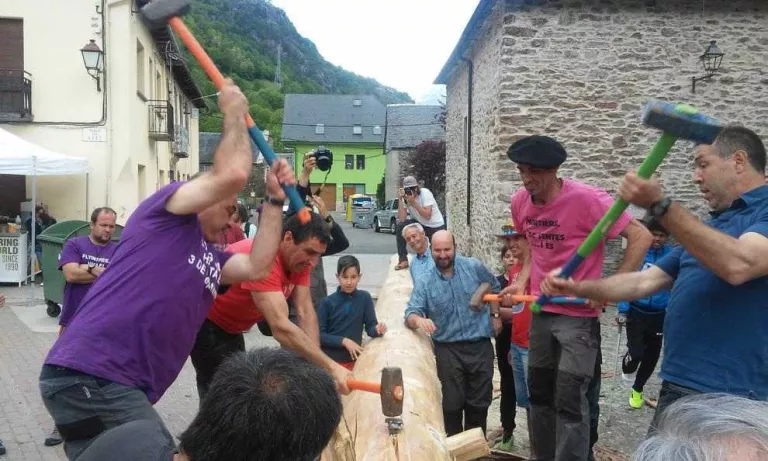 Les crea una associació per a les festes del foc