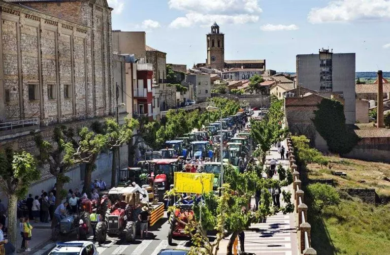 Sant Isidre a Cervera, Gra, Bellpuig i Torrefarrera