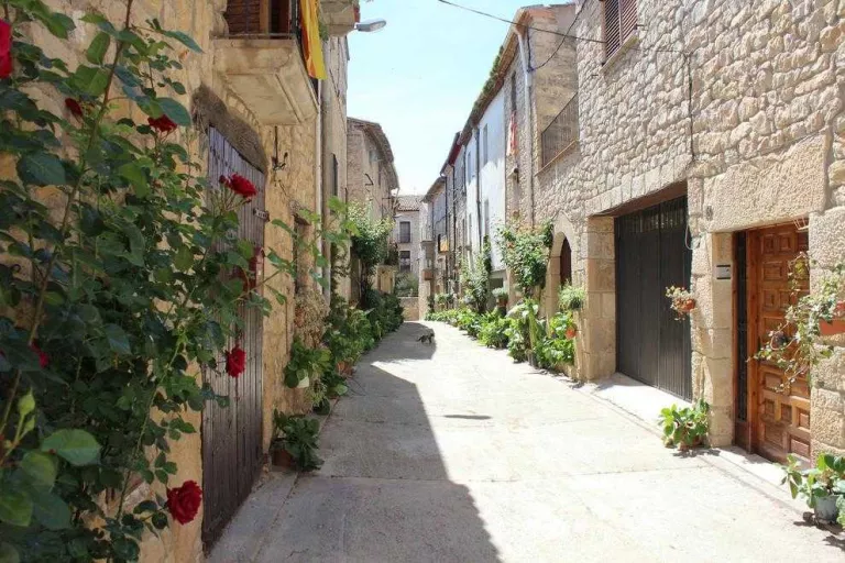 Els quinze municipis de les Garrigues embelliran els carrers també a l'estiu