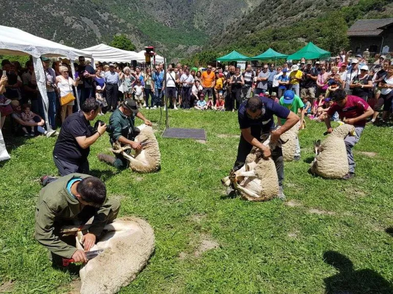 Les fires, aparadors del món rural