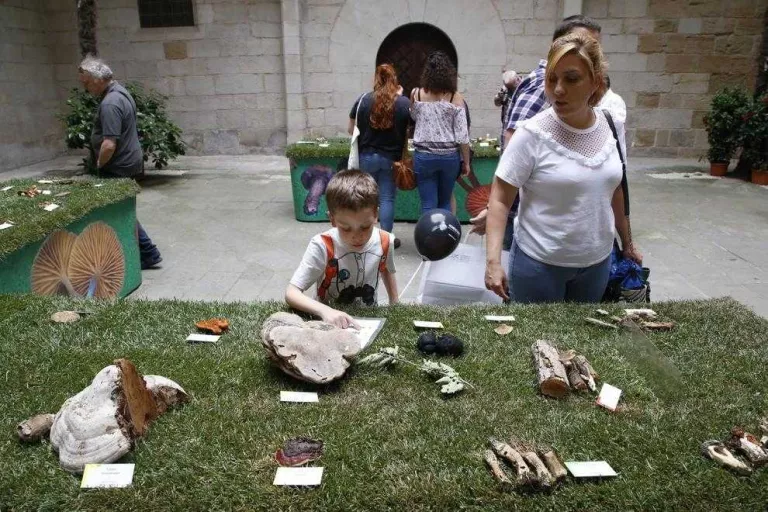 Més de 50 espècies de bolets de primavera a l'IEI