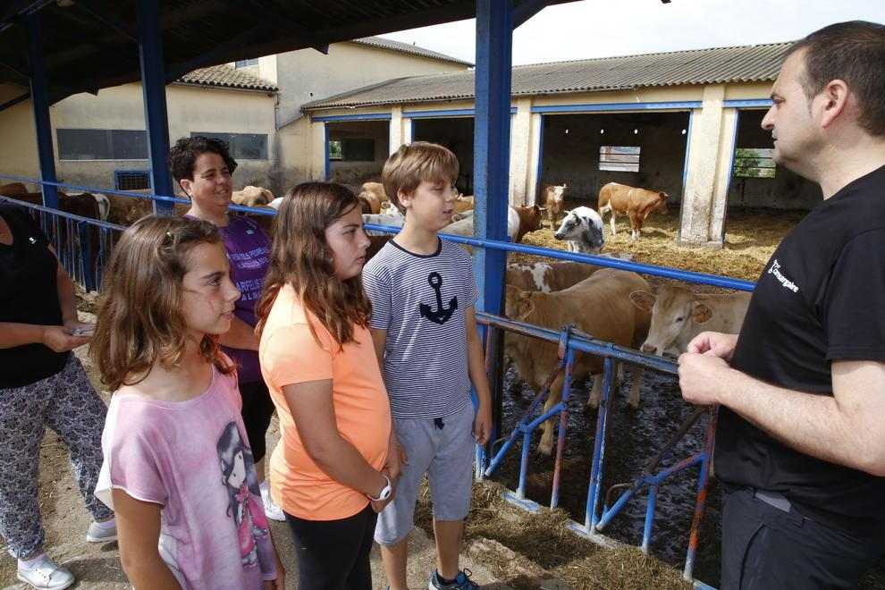 El camp s’obre de bat a bat