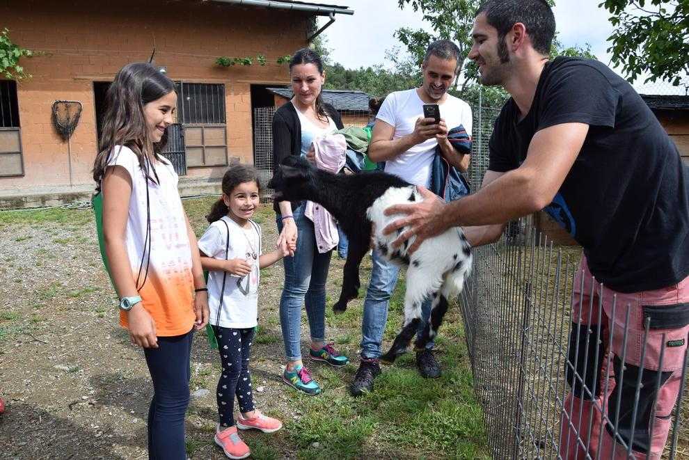 El camp s’obre de bat a bat