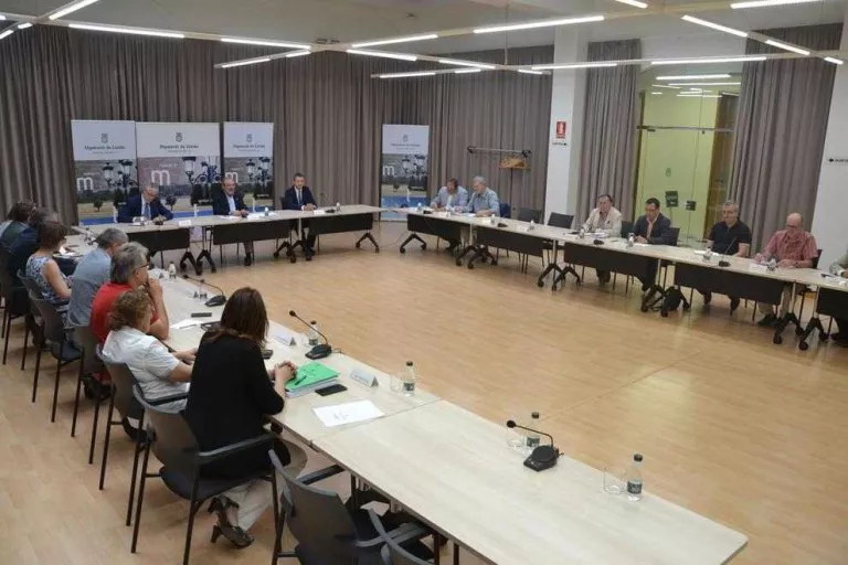 Endesa assumeix que ha d’invertir més per evitar les apagades i els microtalls a Lleida