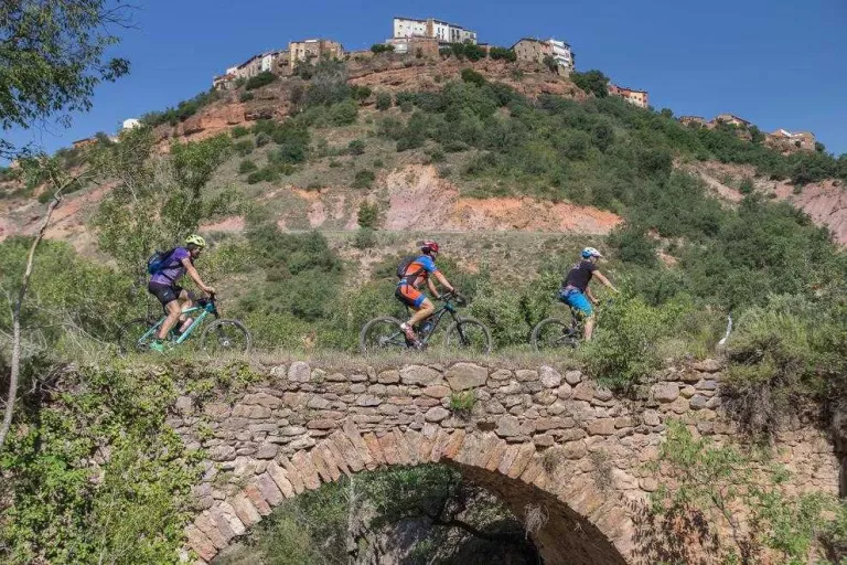 Més de 400 persones a la fira que uneix cuina i vi a Talarn