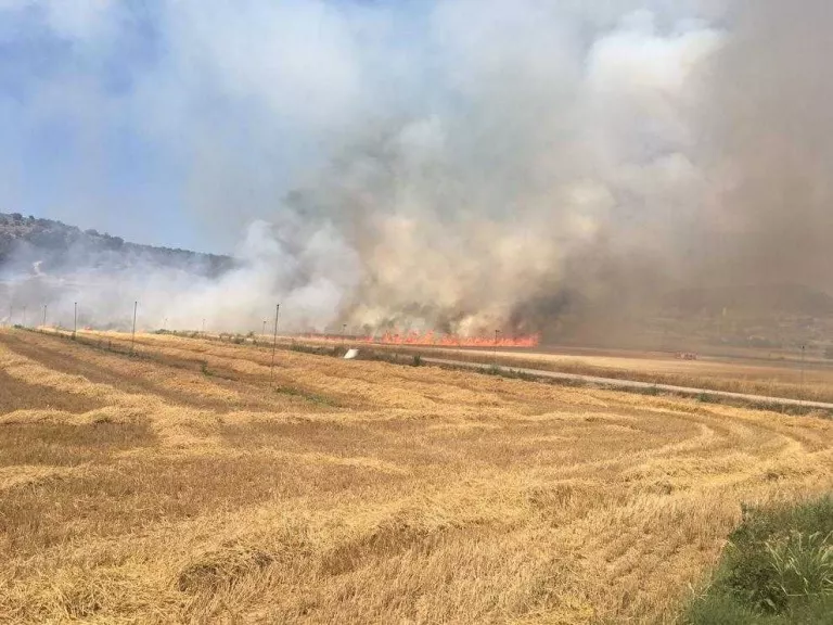 Dos nous focs cremen 26 hectàrees a Almenar i Foradada i tallen una carretera