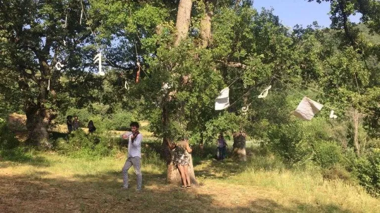 Picurt premia un documental sobre la història basca i altre sobre el conflicte kurd