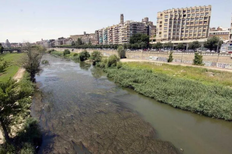 Algues a les aigües del Segre minven el reg mentre la demanda augmenta per la calor