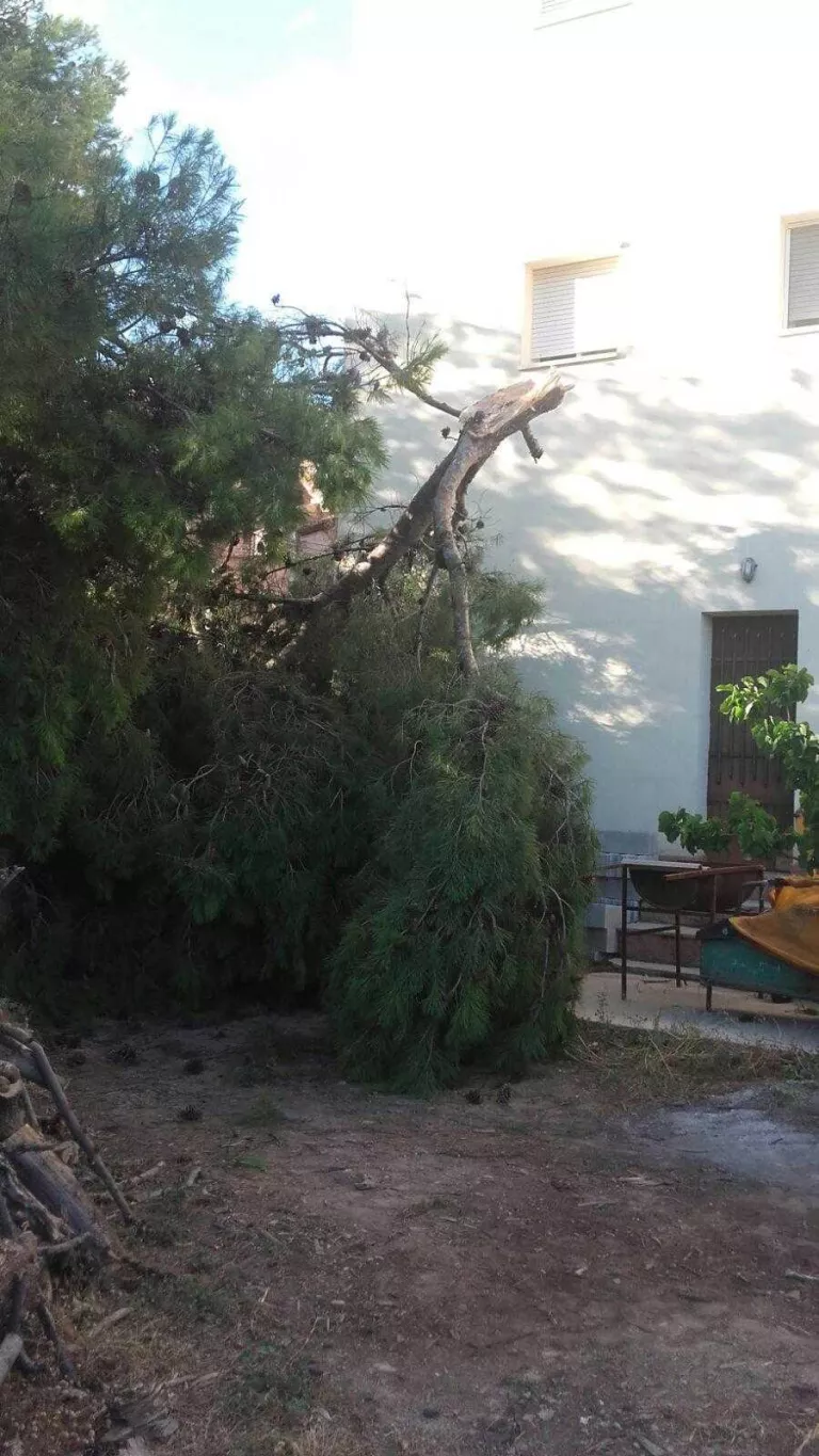 La tempesta de pedra de dimarts provoca danys en prop de 2.700 hectàrees de fruita