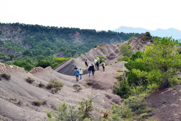 Un estiu entre dinosaures