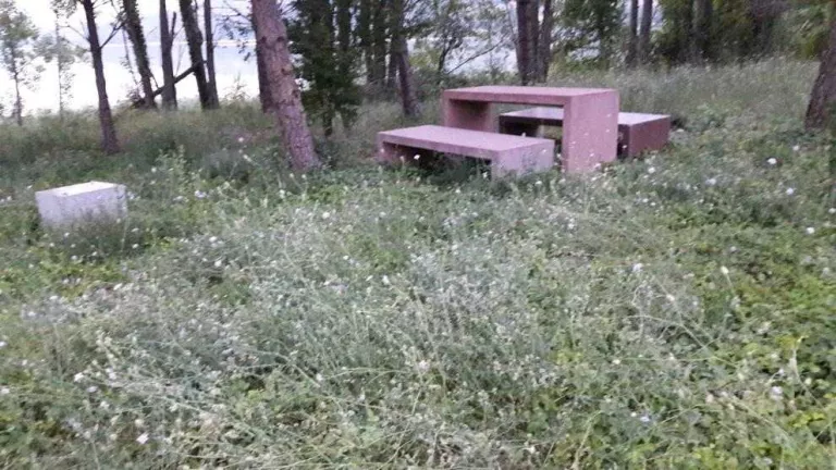 Un tram del sender entorn de Cellers, inutilitzat per l’herba