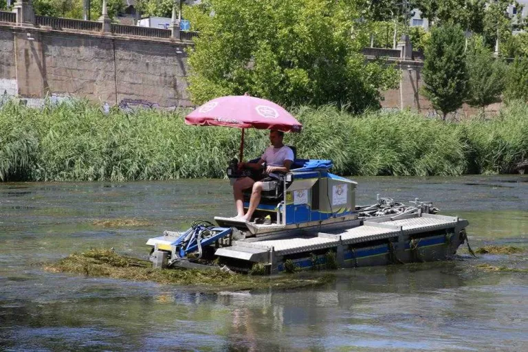 La Paeria retira les algues del riu i expedienta la CHE per no fer-ho
