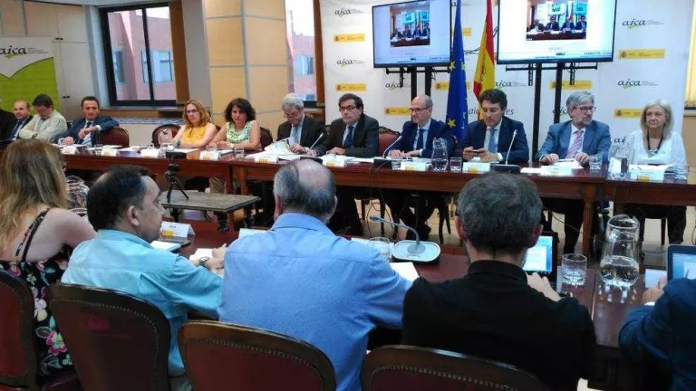 “La desunió comercial, taló d'Aquil·les del sector de la fruita dolça”