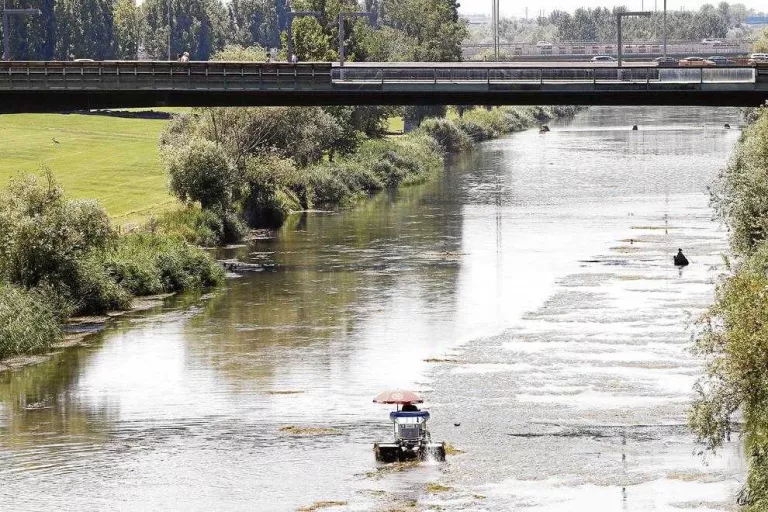 La retirada d'algues s'allargarà encara 15 dies