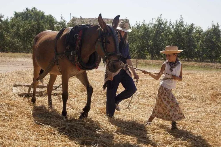 La Fuliola ampliarà el Segar i el Batre