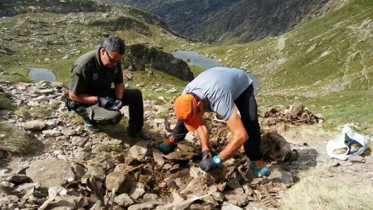 Troben prop de 170 ovelles estimbades a Lladorre d'un ramat francès sense vigilància