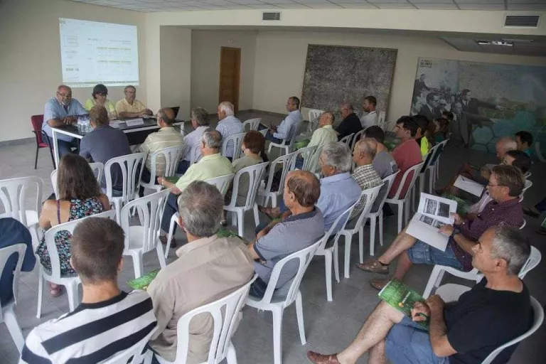 L’extensió del regadiu dispara la plantació d’ametllers en un any