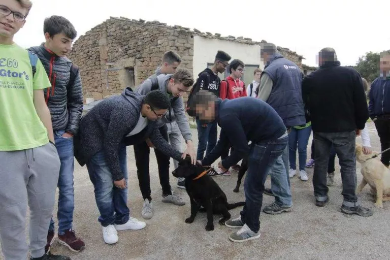 L'institut d'Artesa de Segre, finalista en un premi estatal