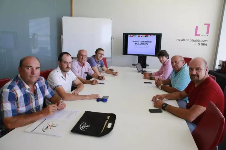 Convoquen una marxa lenta cap a Barcelona a l'A-2 i l'AP-2 dilluns