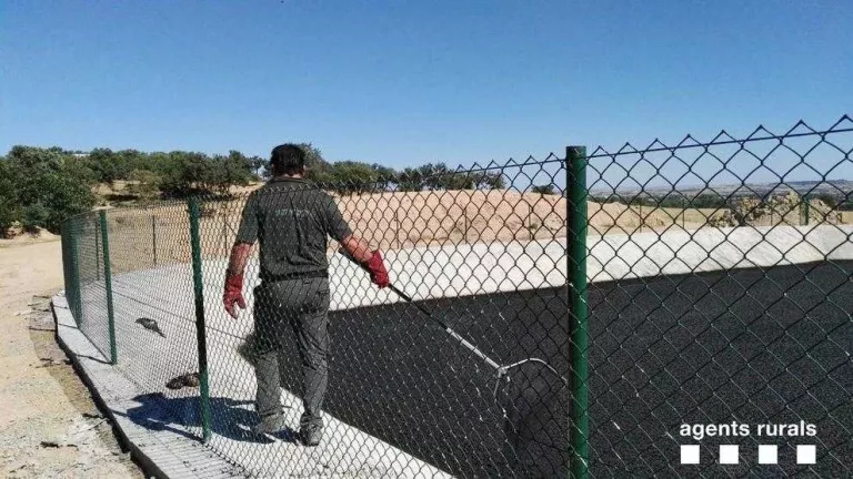 Rescaten cinc milans atrapats en una bassa de purins a Preixens