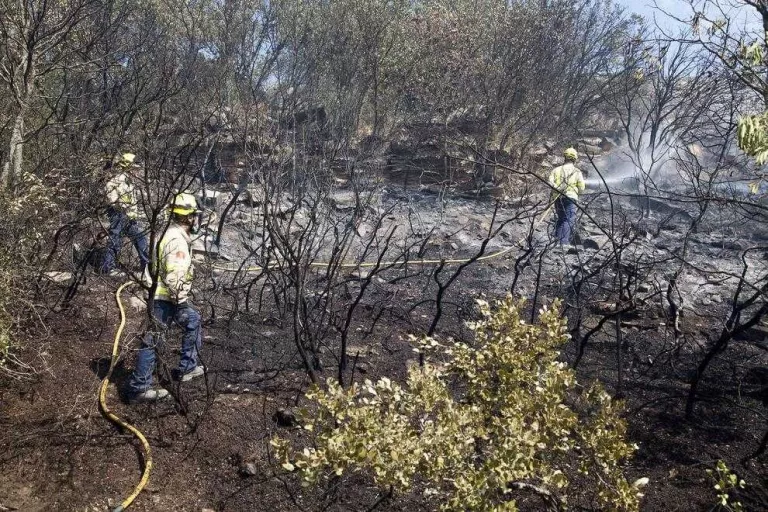 Calcinades trenta hectàrees en un incendi agrícola i forestal a Tàrrega
