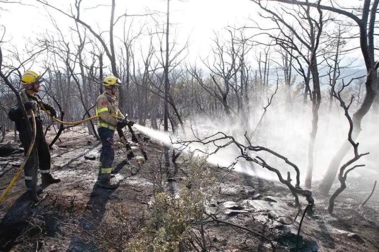 Un foc arrasa 15 ha de vegetació forestal i agrícola a Artesa de Segre