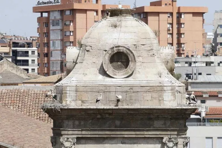 Ipcena insta el Govern a vetar la retirada de nius de la Catedral