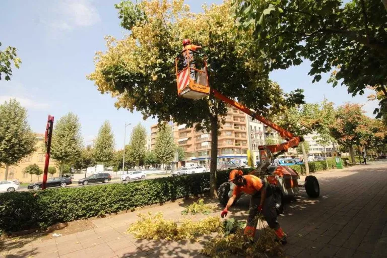 Poda de flors d'arbres per evitar que embrutin el carrer
