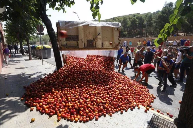 Lleida té emmagatzemats uns 47 milions de quilos de fruita de pinyol