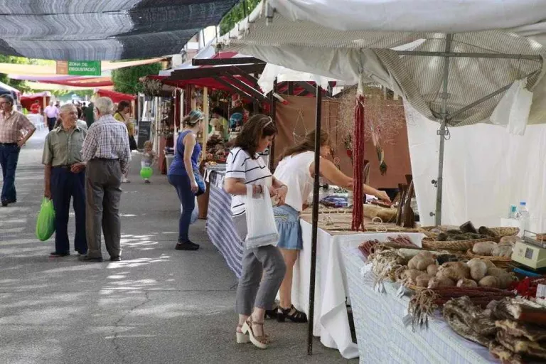 Dotze mil visitants a la Fira d’Artesa de Segre