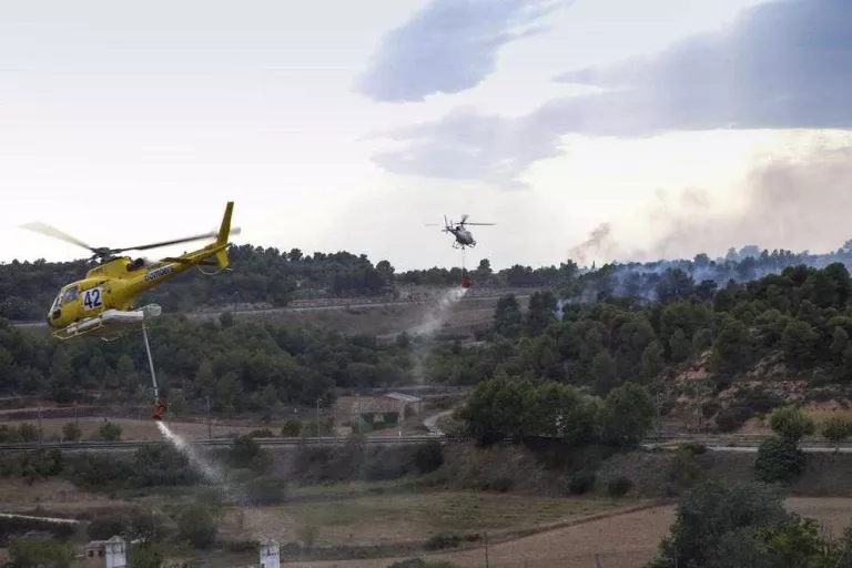 Desallotgen mitja dotzena de masies per un incendi entre Vinaixa i l'Albi
