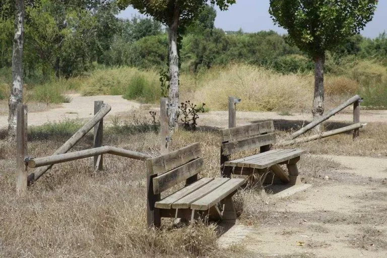 Pla municipal per recuperar la zona natural dels aiguamolls de Rufea