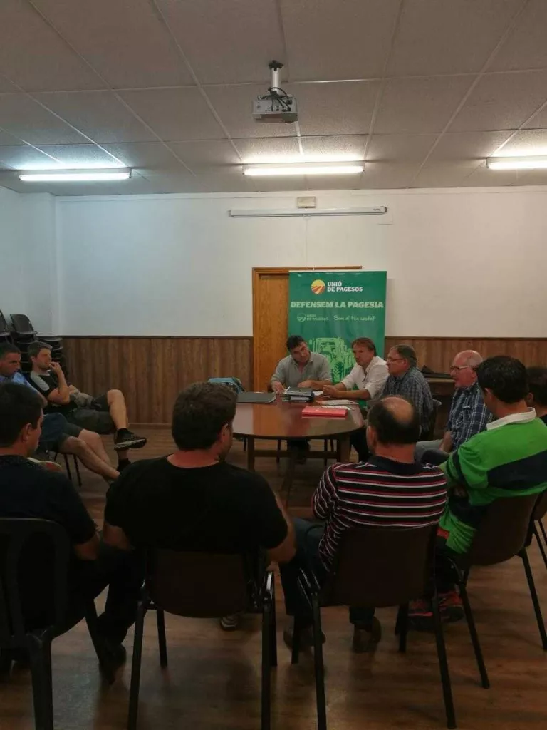 Noves protestes per danys d'óssos, voltors i senglars