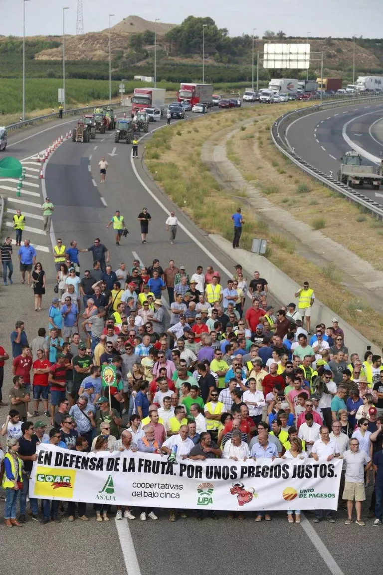 Lleida sol·licita retirar 17.129 tones de fruita de pinyol