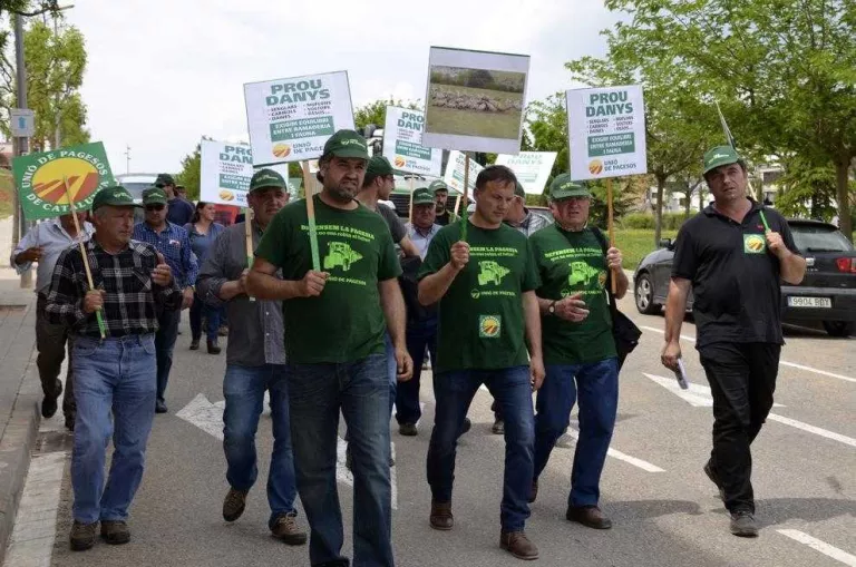 Ramaders i pagesos es manifestaran per exigir a Madrid sacrificar fauna salvatge
