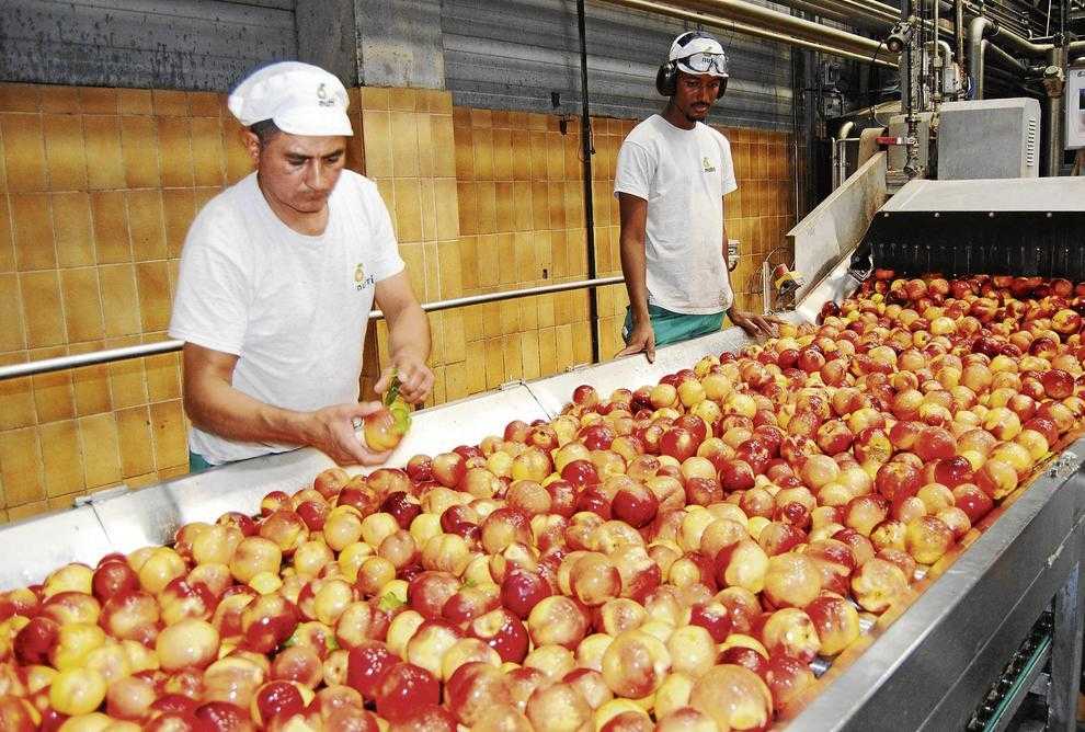 Lleida cobrarà com a màxim uns 2,75 milions per la fruita de pinyol retirada