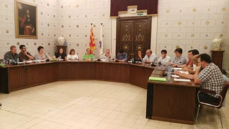 La Seu dóna un mes per retirar pals amb la ‘rojigualda’ a la comissaria