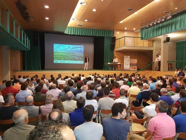 Lleida triplica des del 2007 les finques d'ametllers en reg