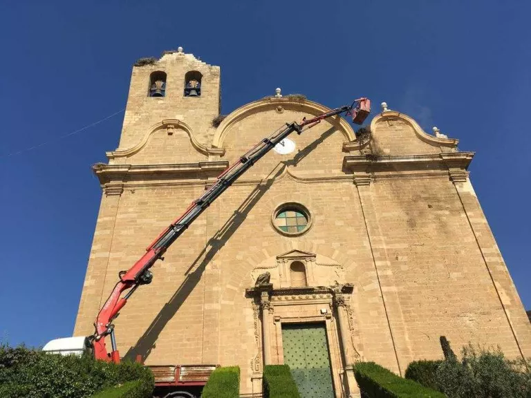 Alcarràs neteja els nius de cigonya de l’església