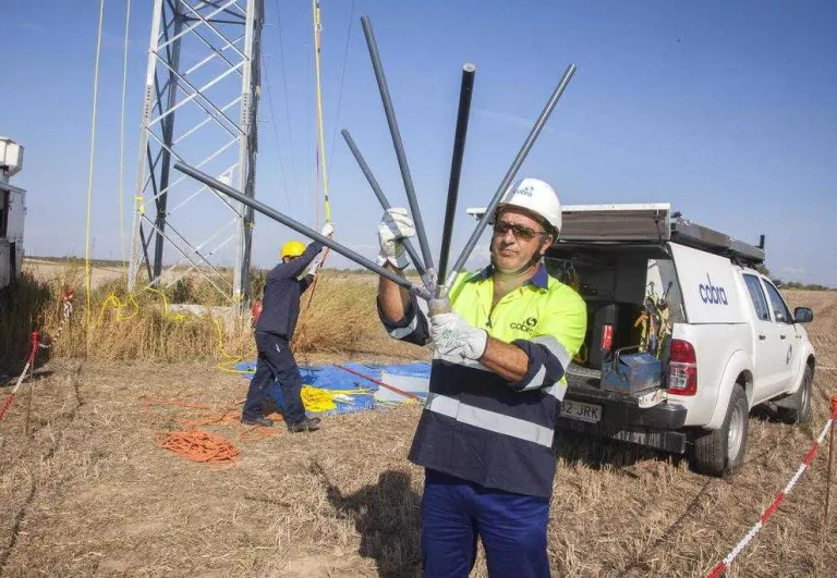 Protecció per a les aus en 17 Km de línies elèctriques de l’Urgell que també ha de millorar el servei