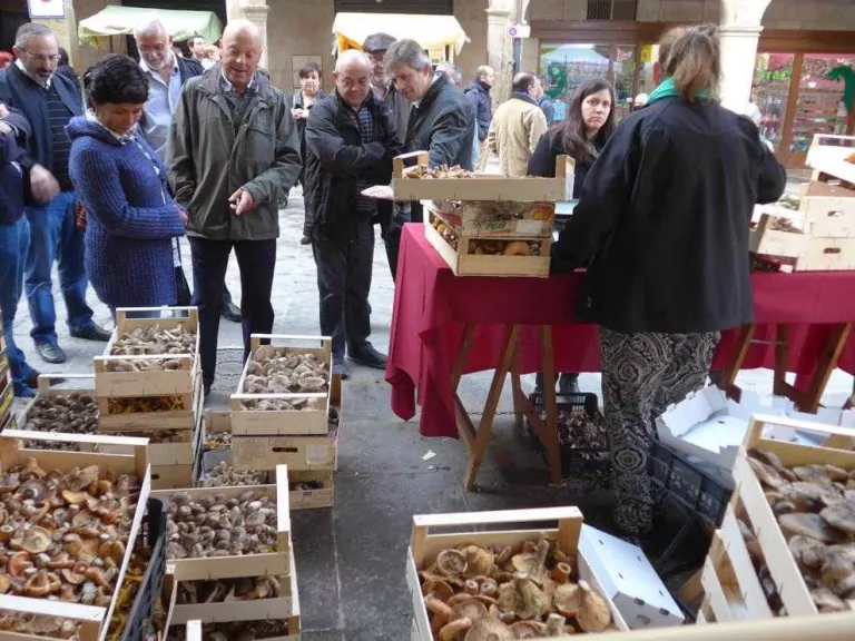 Garanties perquè el Solsonès compti amb bolets per a la Fira