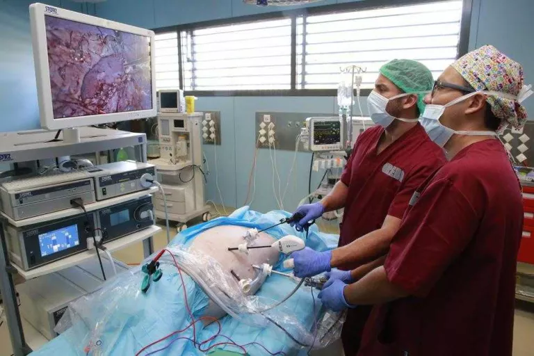 El centre biomèdic experimental de Torrelameu atreu cirurgians de tot Espanya