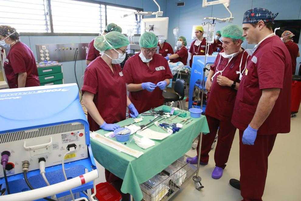 El centre biomèdic experimental de Torrelameu atreu cirurgians de tot Espanya