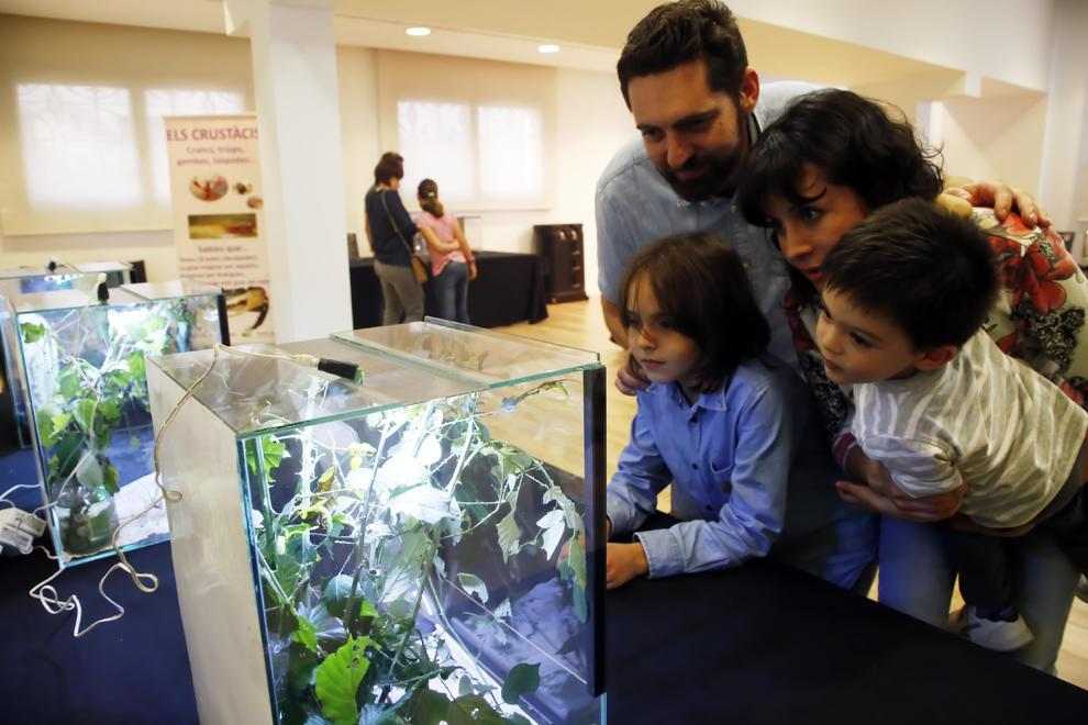 Els animals invertebrats en viu sorprenen a l'exposició del CaixaForum