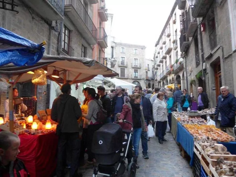 La pluja activa una campanya de bolets escassa, que serà tardana