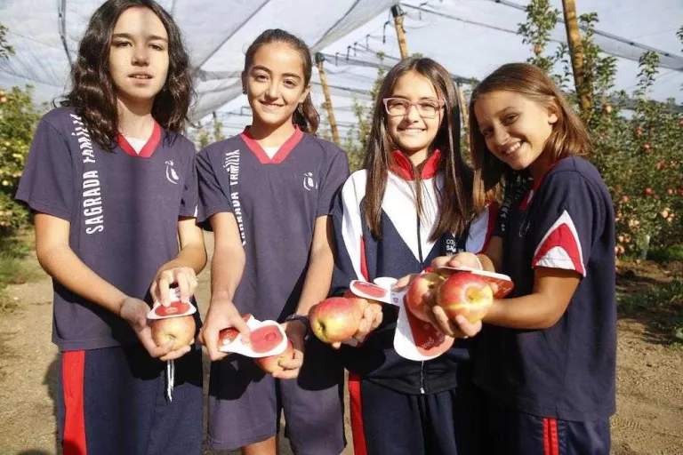 Fruilar confia que el preu de la pink lady pujarà un 10 per cent enguany