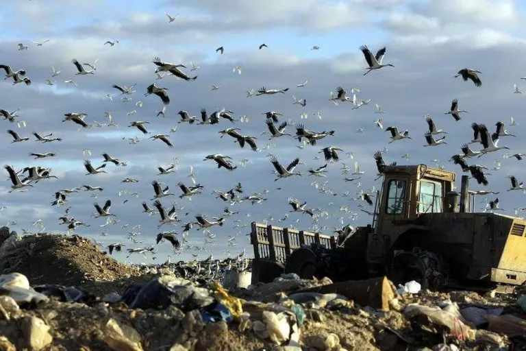 Llençar brossa al contenidor incorrecte perjudica del 10% al 40% del reciclatge a Lleida